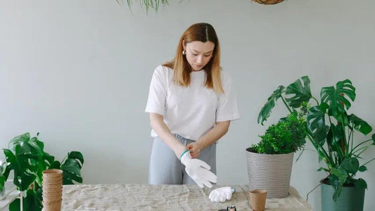 Acheter-des-Plantes-Tropicales-Rares-en-Europe-Guide-d-Acclimatation-et-Entretien Green and White Plants