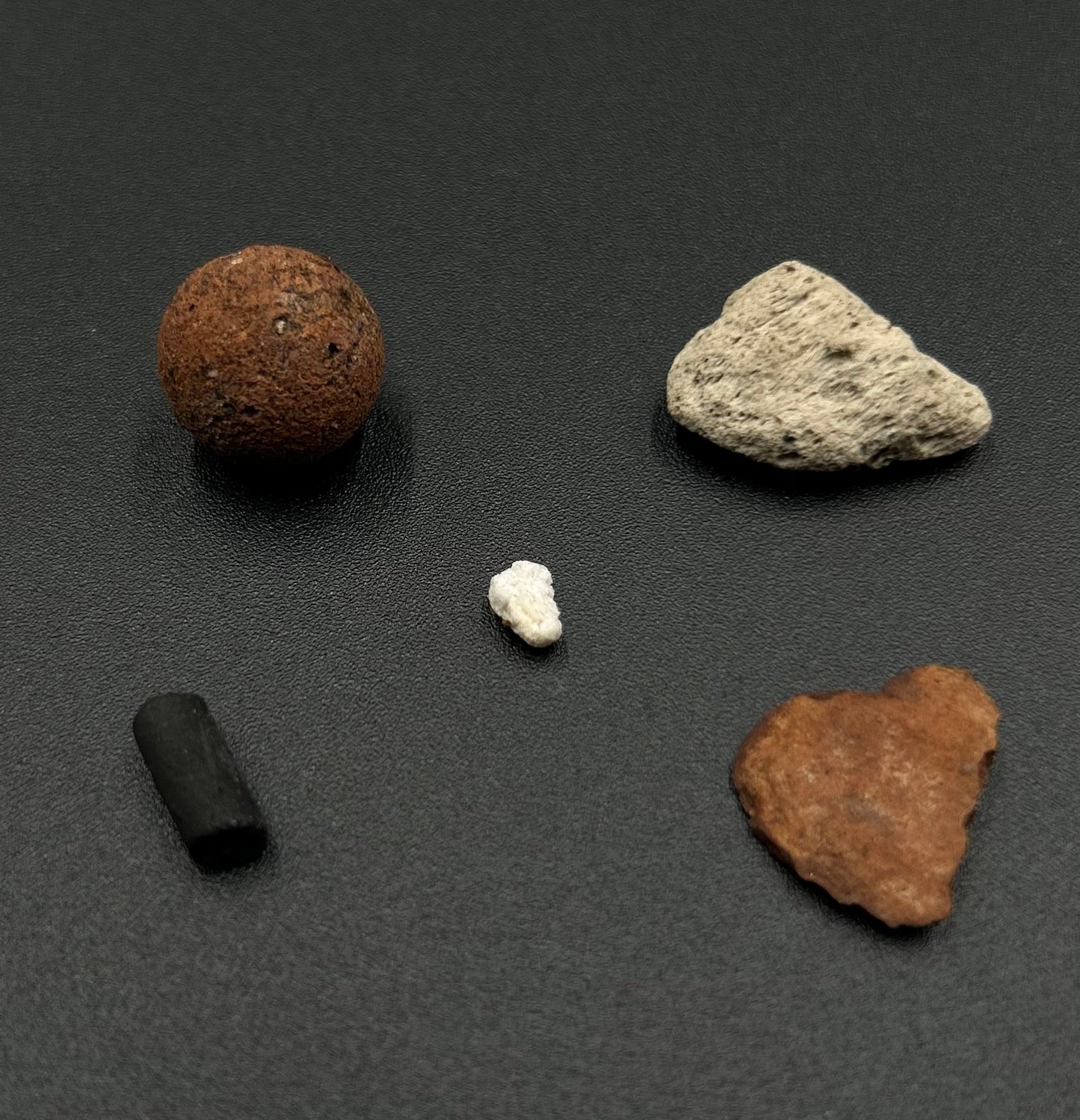 Substrat Aracée Professionnel (Alocasia, Anthurium,...) Green and White Plants