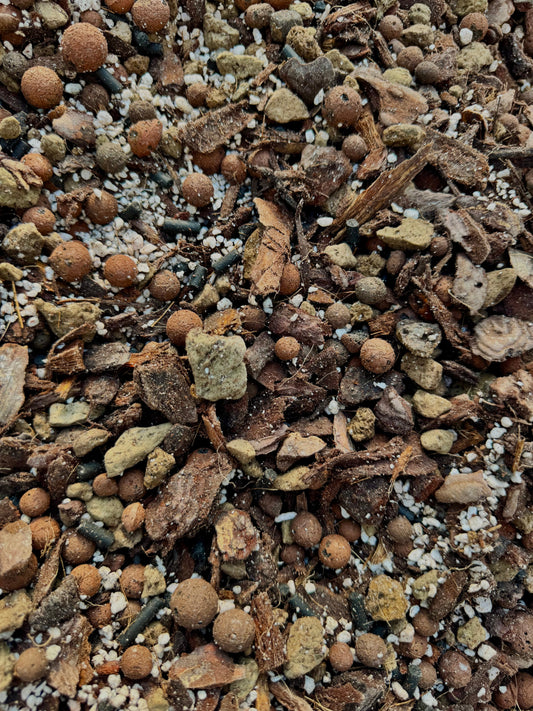 Substrat Aracée Professionnel (Alocasia, Anthurium,...) Green and White Plants