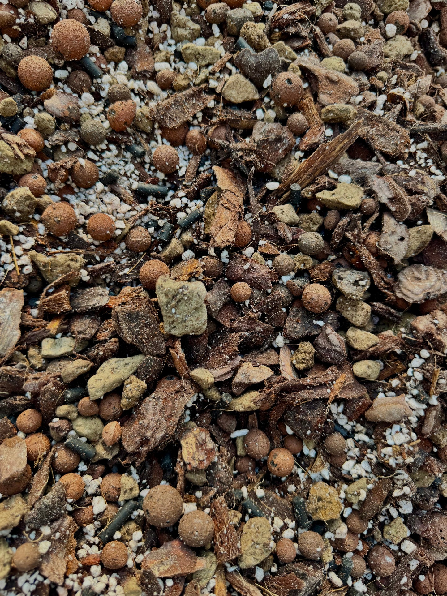 Substrat Aracée Professionnel (Alocasia, Anthurium,...) Green and White Plants