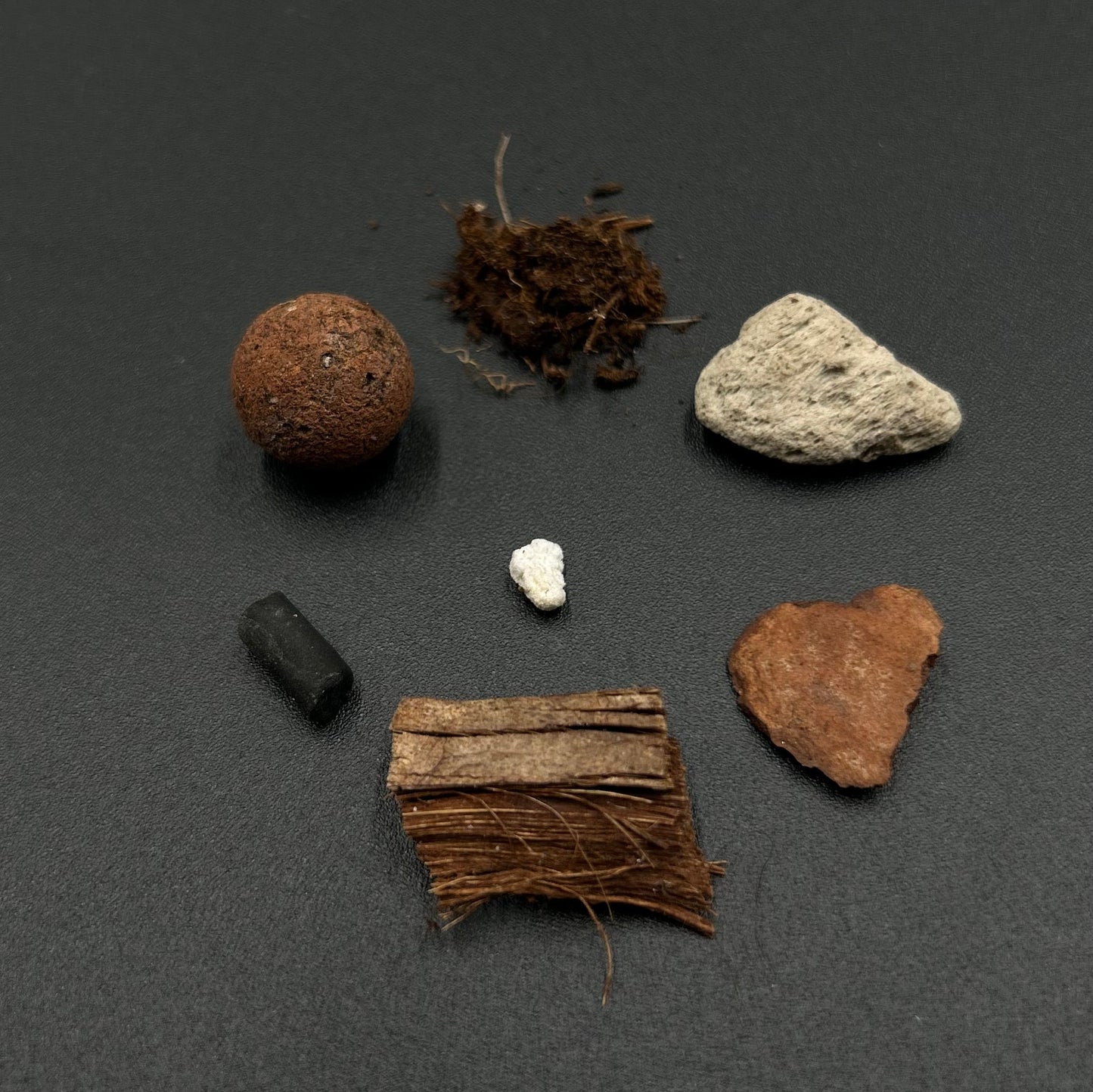 Substrat Aracée polyvalent professionnel (Homalomena, Begonia,...) Green and White Plants