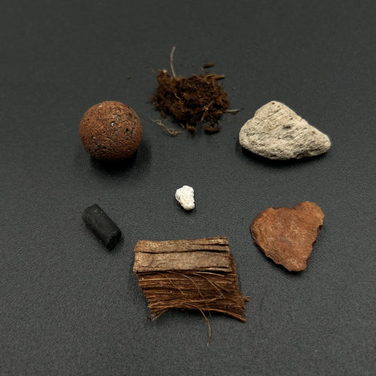 Substrat Aracée polyvalent professionnel (Homalomena, Begonia,...) Green and White Plants