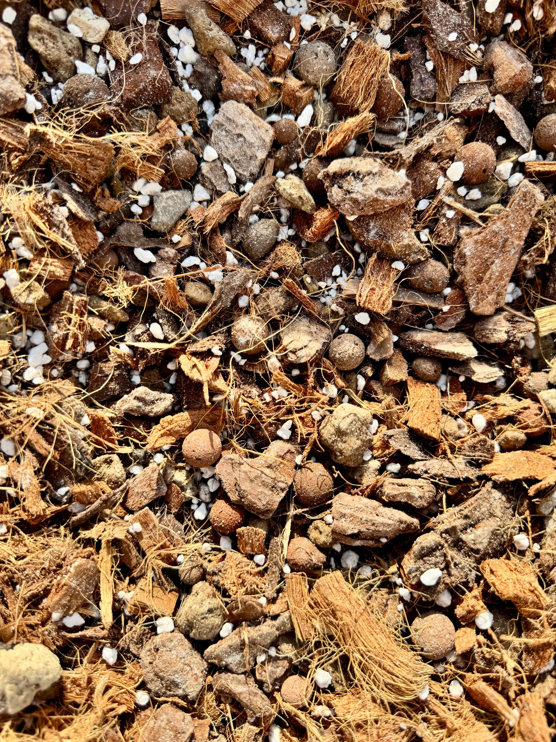 Substrat Aracée Hémiépiphyte Professionnel (Monstera, Philodendron,..) Green and White Plants