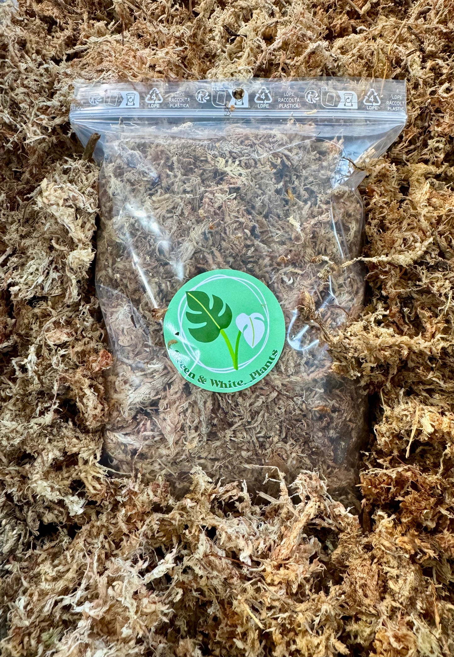 Chilean Sphagnum