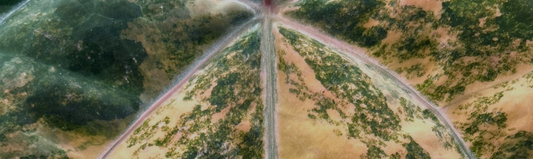 Tips culture Anthurium