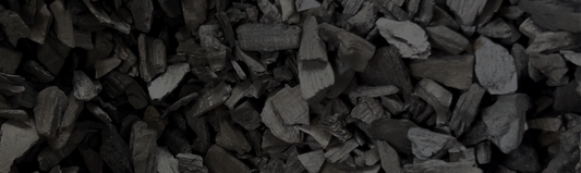 Biochar : limite la pourriture racinaire des plantes tropicales en intérieur