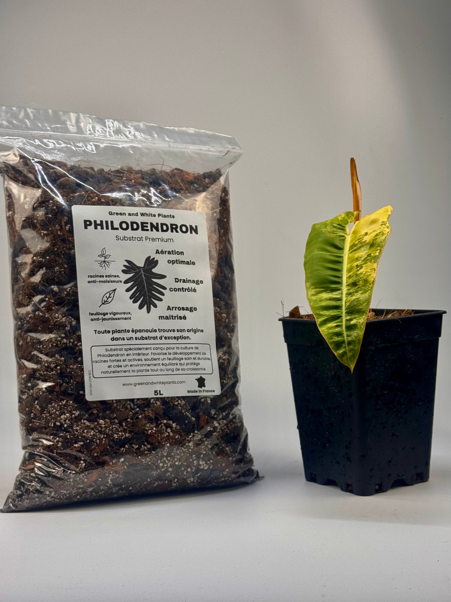 Substrat Philodendron Professionnel (5L)