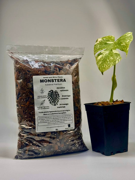 Substrat Monstera Professionnel (5L)