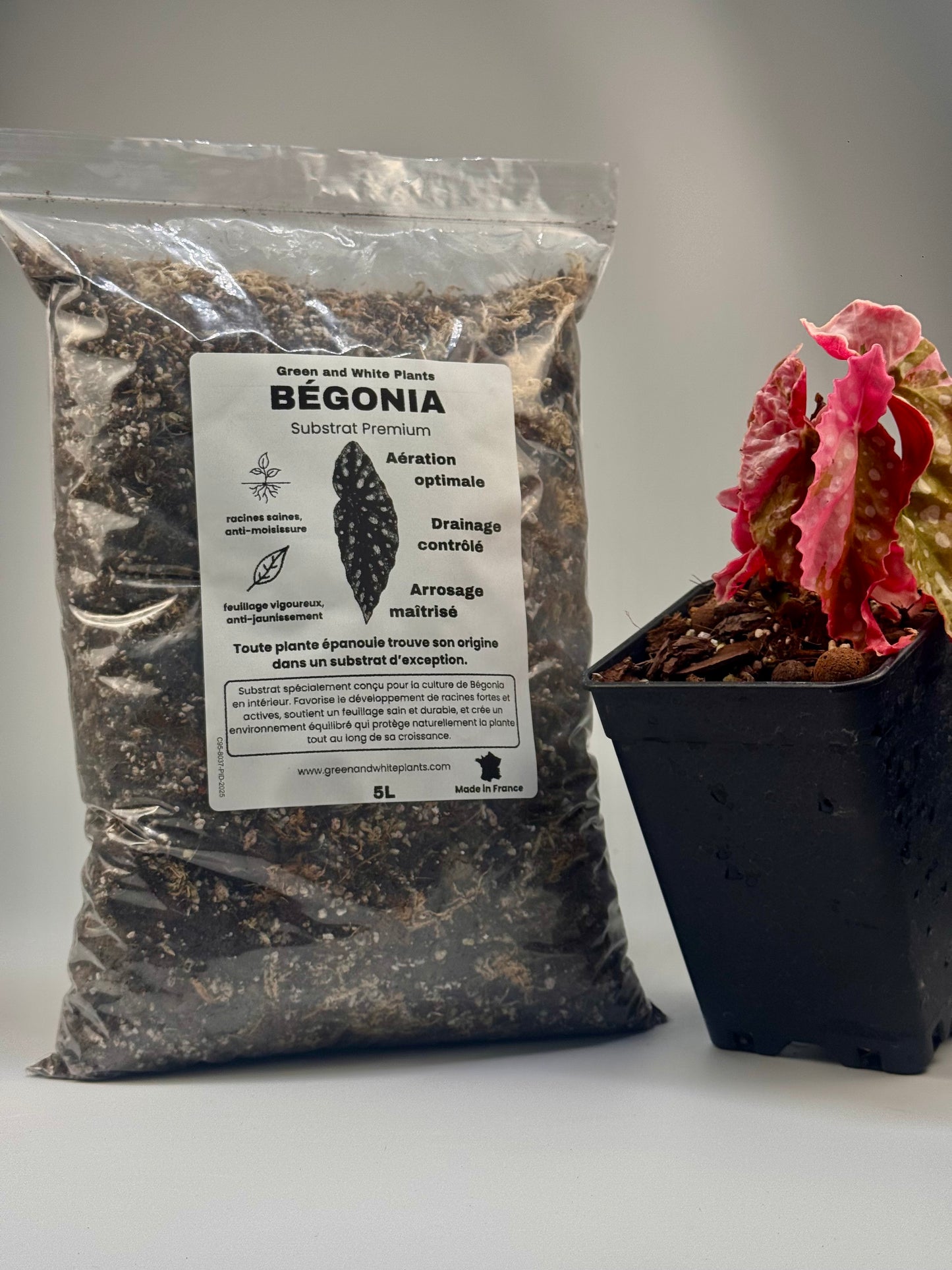 Substrat Bégonia Professionnel (5L)