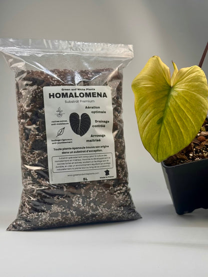 Substrat Homalomena Professionnel (5L)