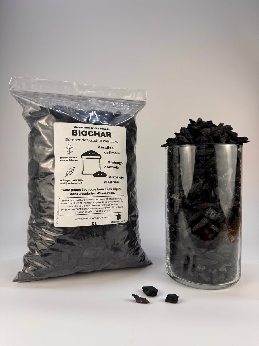 Biochar horticole