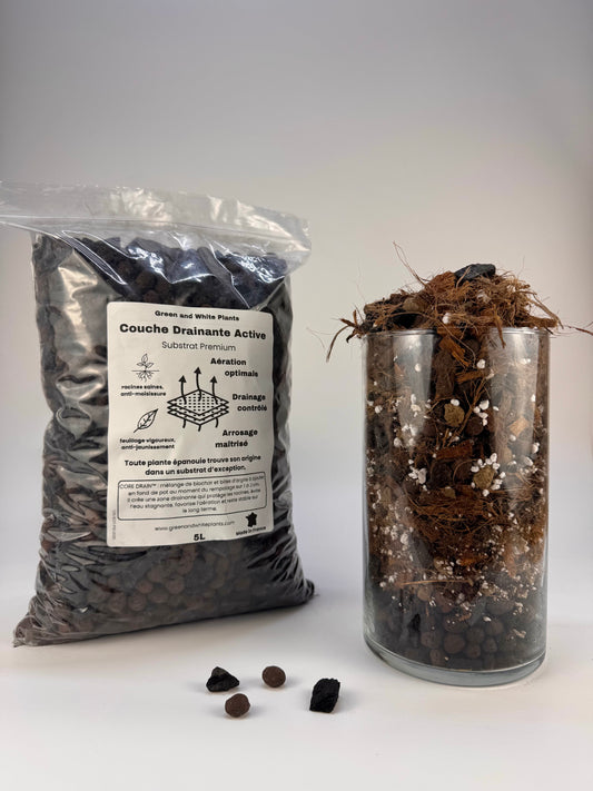 Base substrate / Active drainage layer (5L)