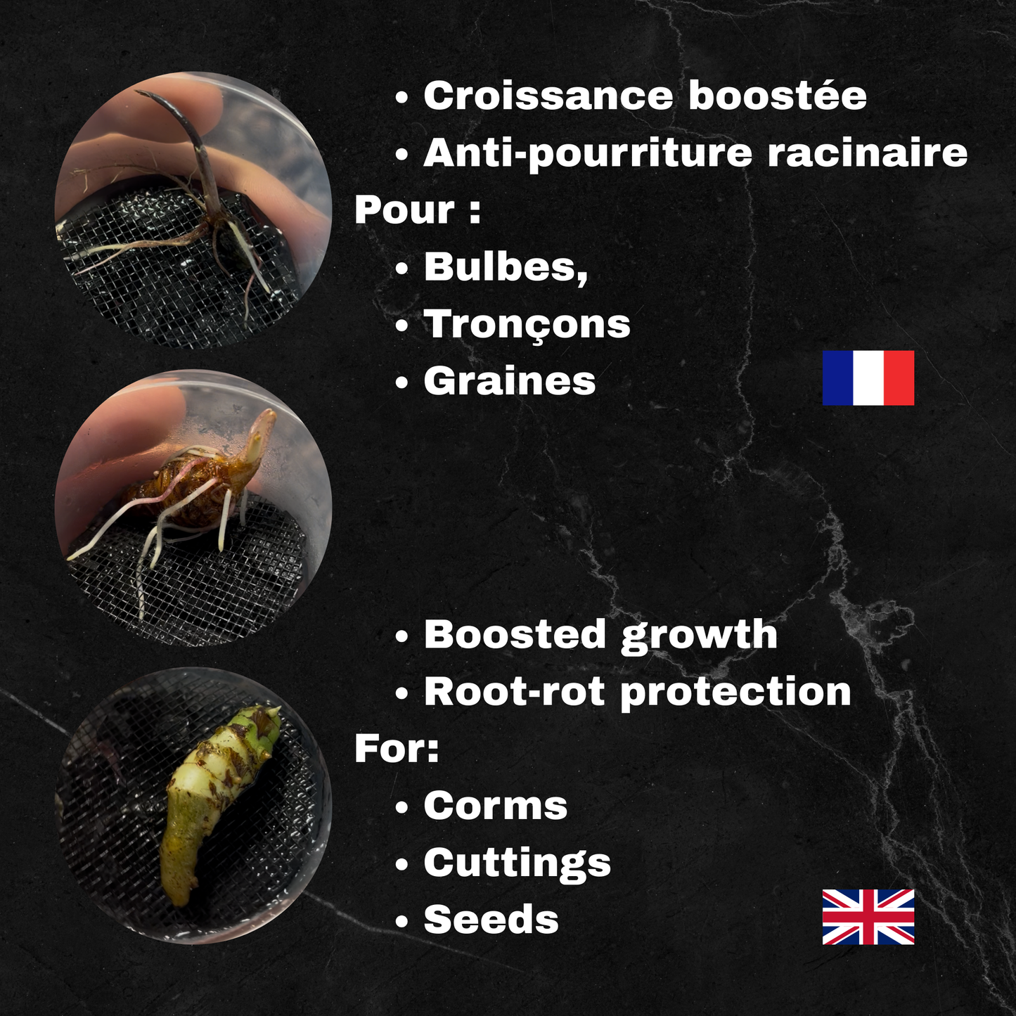 Root Starter / Pot de croissance pour bulbes