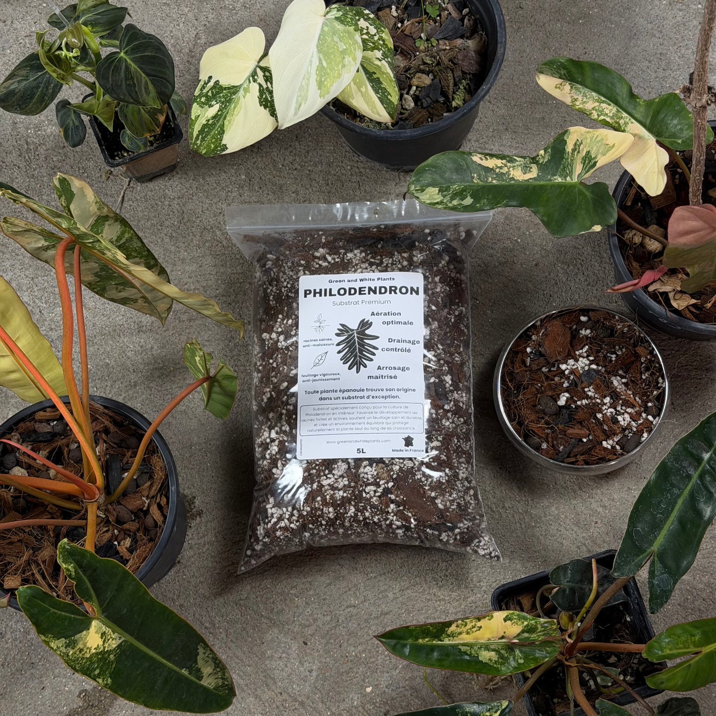 Substrat Philodendron Professionnel