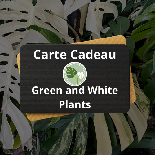 Carte-Cadeau - Envie de faire plaisir à un collectionneur ?
