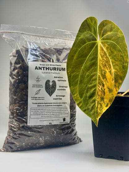 Substrat Anthurium Professionnel (5L)