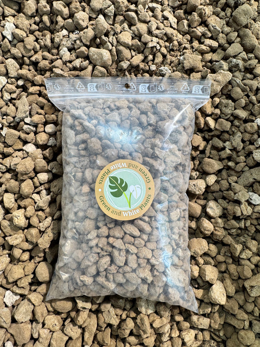 Pumice Moyen/Gros Calibre (7/25mm) *RARE Green and White Plants