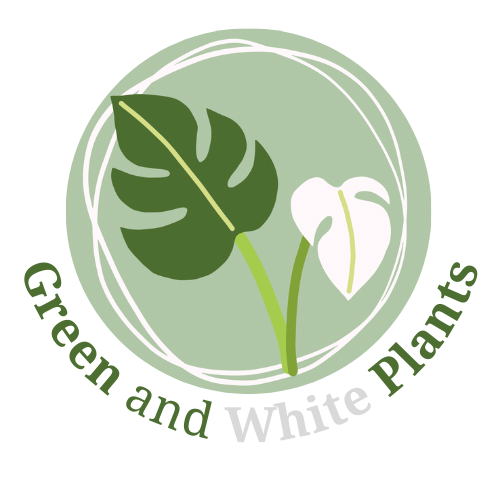 Green and White Plants