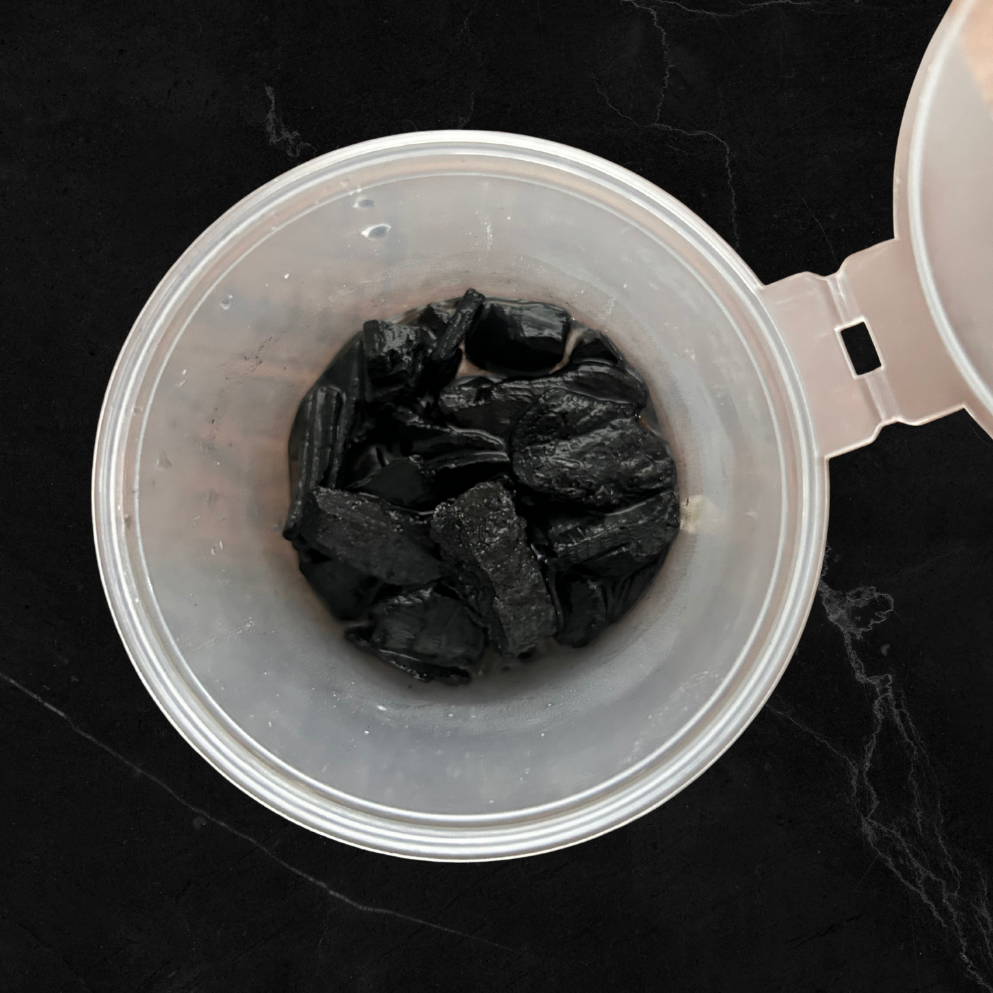 Root Starter / Pot de croissance pour bulbes