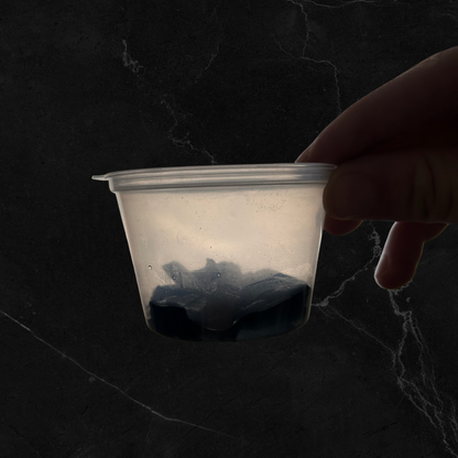 Root Starter / Pot de croissance pour bulbes