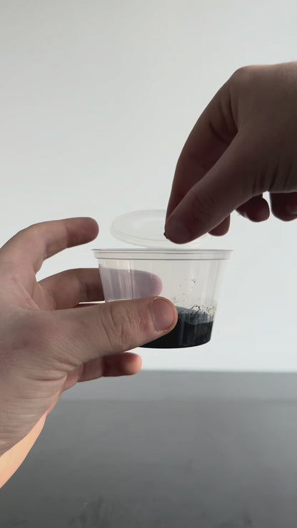 Root Starter / Pot de croissance pour bulbes